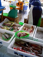 c0033992_11364339.jpg