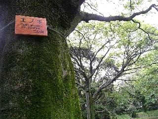 e0111793_012456.jpg