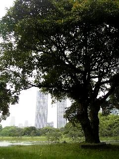 e0111793_07745.jpg