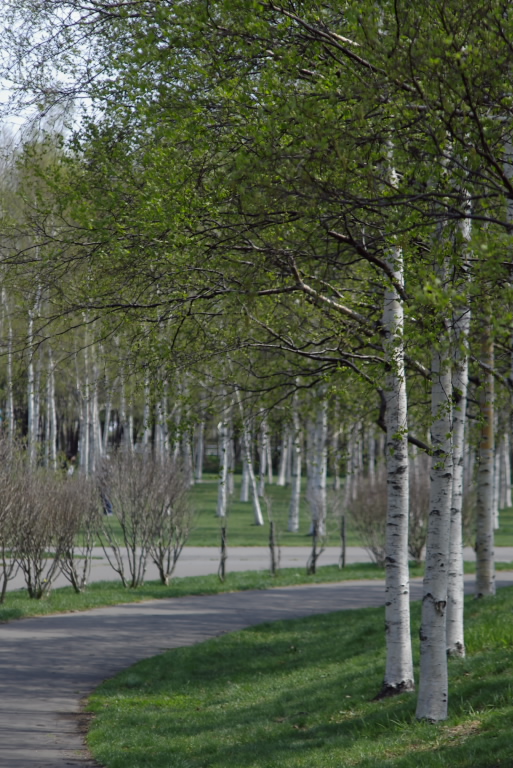 f0002701_2372736.jpg