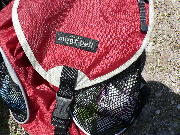 f0137402_10375534.jpg