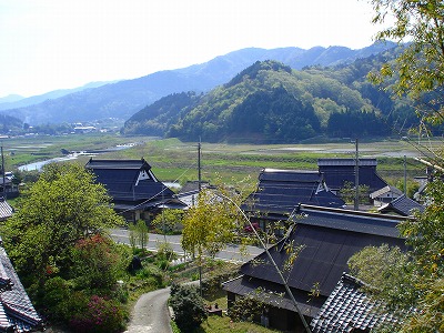 f0096508_2056083.jpg