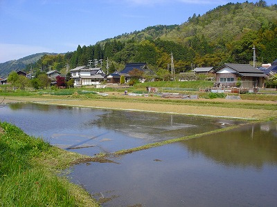 f0096508_2103399.jpg