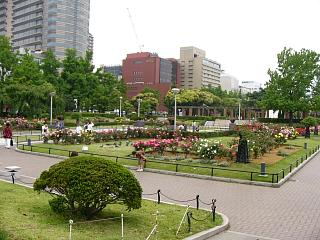 b0023911_20212082.jpg