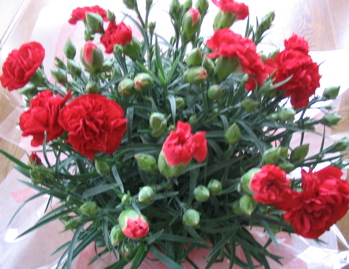 e0111220_1027238.jpg