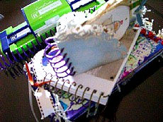 f0005420_192588.jpg