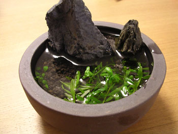 c0095824_2275384.jpg