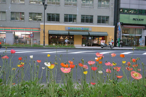 f0067724_20293613.jpg