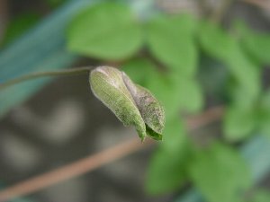 b0031925_12474264.jpg