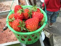 f0125927_3504065.jpg
