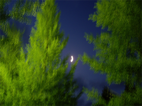 f0128527_1651678.jpg