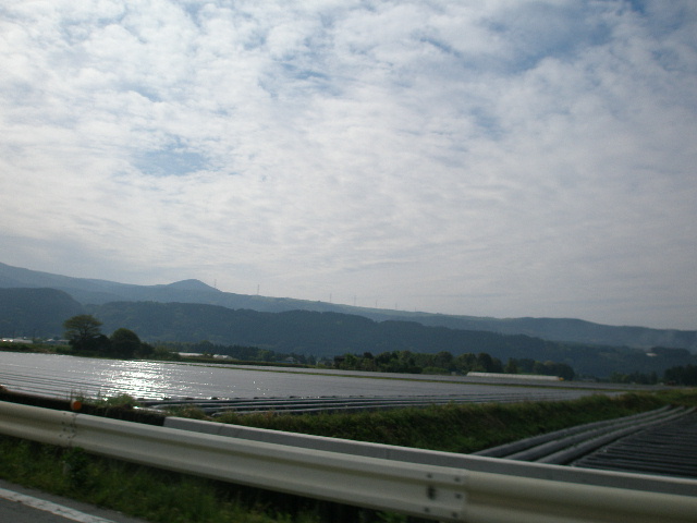 e0065830_1416323.jpg