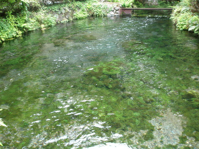 e0065830_14254648.jpg