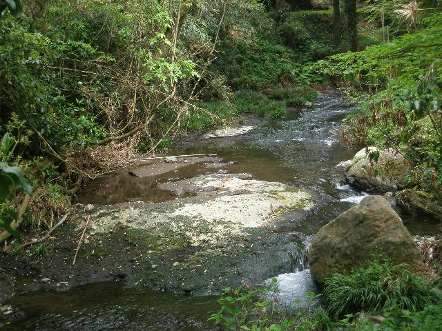 e0065830_14284398.jpg