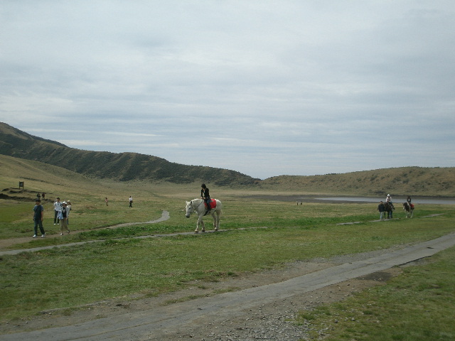 e0065830_14344236.jpg