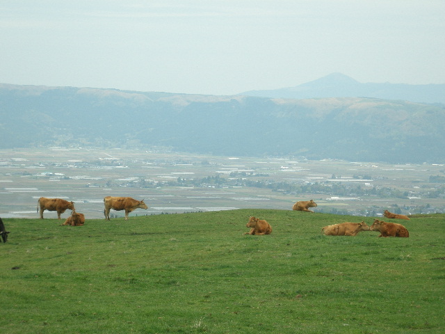 e0065830_14372269.jpg