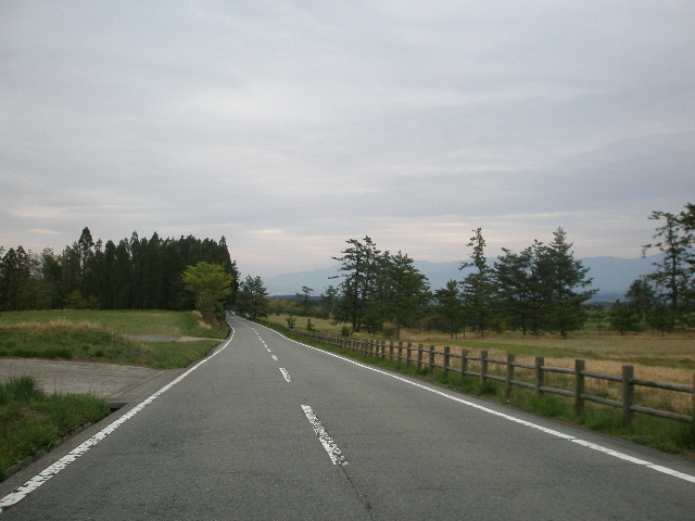 e0065830_1513695.jpg