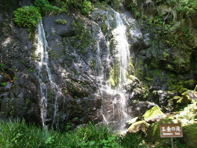 e0065830_15584169.jpg