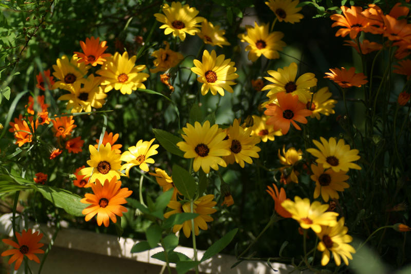 f0017530_21201957.jpg