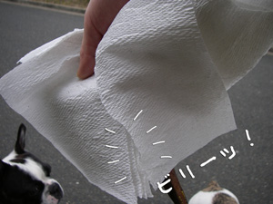 e0008833_10274413.jpg