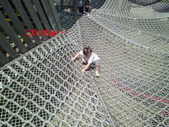 e0095833_1732299.jpg