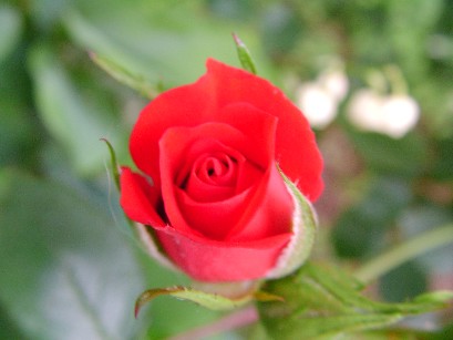 f0002833_0111612.jpg
