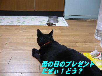 d0013645_21362780.jpg