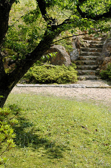 d0008146_23352211.jpg