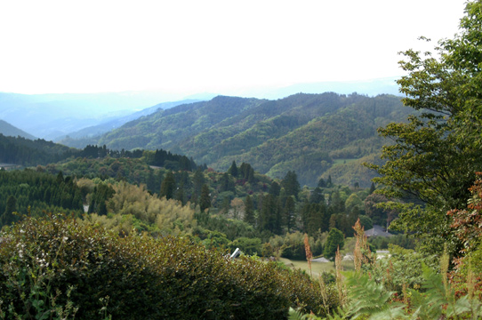 d0008146_23354477.jpg