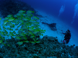 d0065247_18184977.jpg