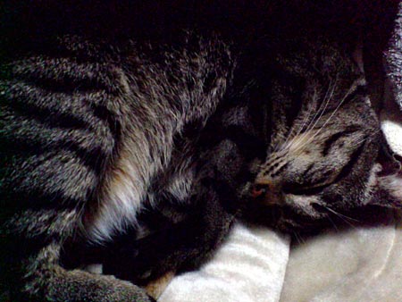 e0034047_0163670.jpg