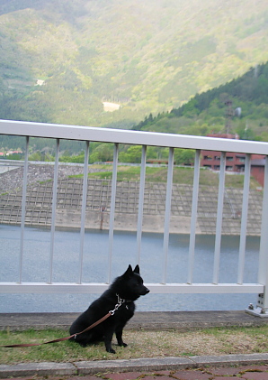 a0009750_12103145.jpg