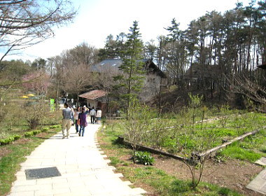 c0043751_17311028.jpg