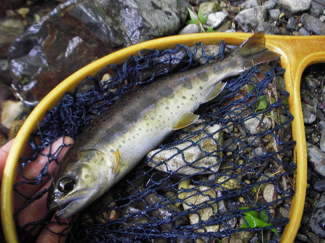a0079652_2250999.jpg