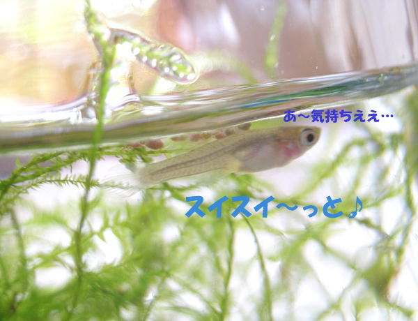 f0132055_14114021.jpg