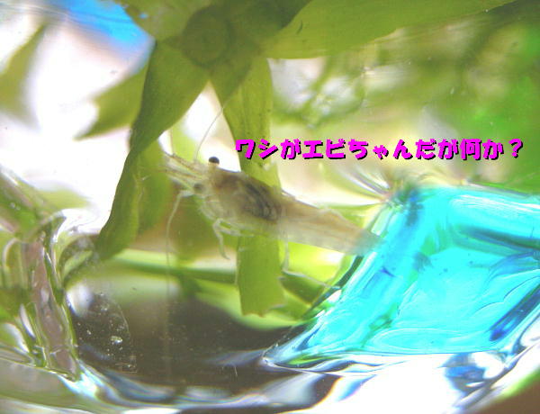 f0132055_14161671.jpg
