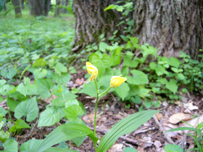 b0045357_9393529.jpg