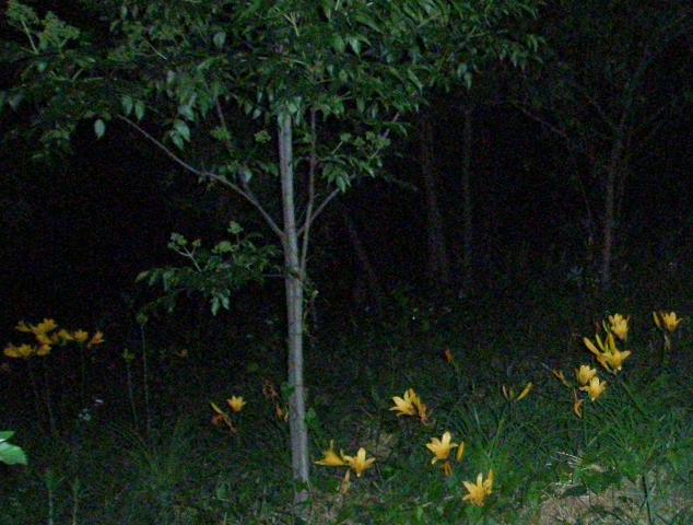 d0008157_2229421.jpg