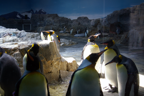 d0012960_22105327.jpg