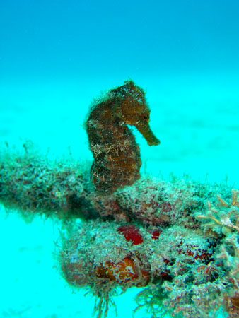 b0062363_21325538.jpg