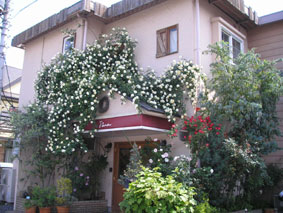 f0016868_1544996.jpg
