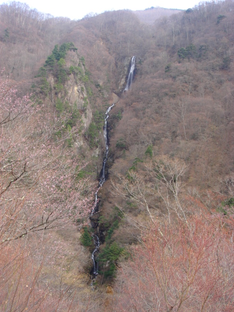 e0039871_1471455.jpg