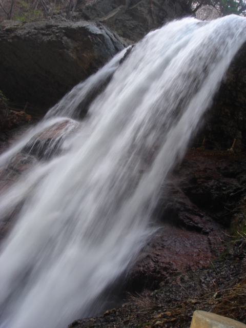 e0039871_147457.jpg