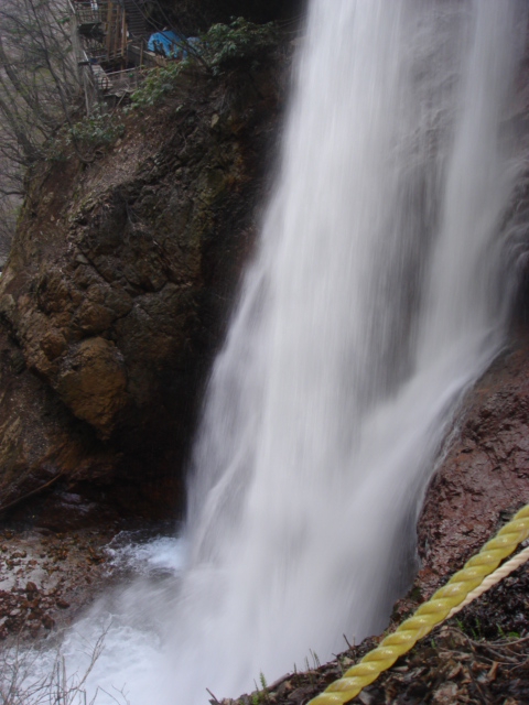 e0039871_1475768.jpg