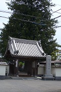 f0059671_035032.jpg