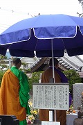 f0059671_058546.jpg