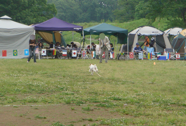 b0091373_285779.jpg