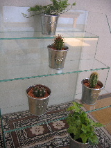 e0077373_928381.jpg