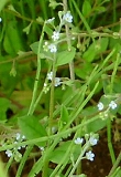 a0091680_12262933.jpg