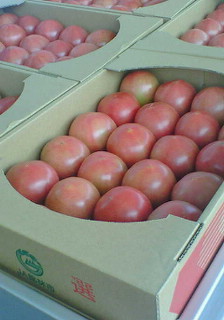 f0125585_921035.jpg